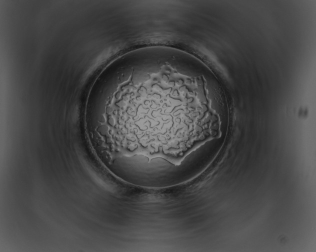 X0000091490250200708301942