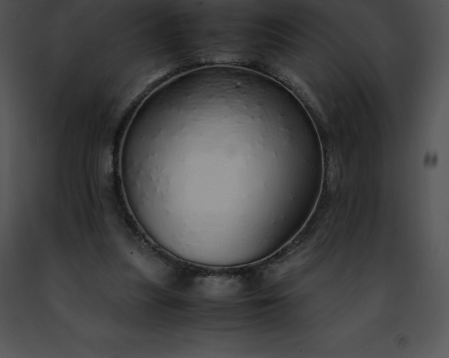 X0000091490251200708301942