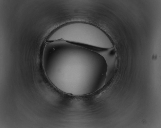 X0000091490252200708301942