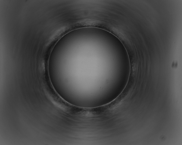 X0000091490254200708301942