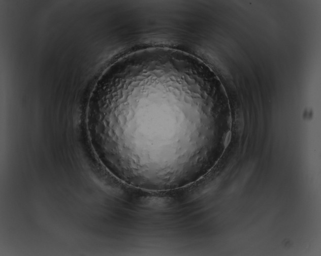 X0000091490255200708301942