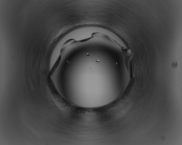 X0000091490256200708301942