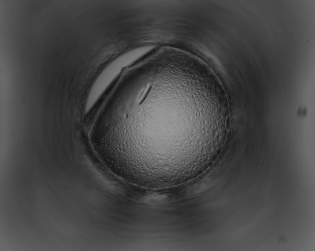 X0000091490257200708301942