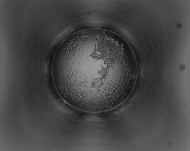 X0000091490258200708301942