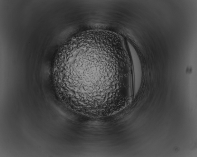 X0000091490259200708301942