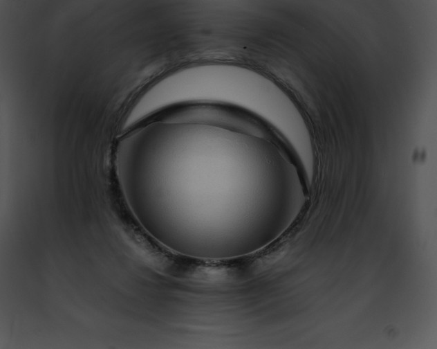 X0000091490260200708301942