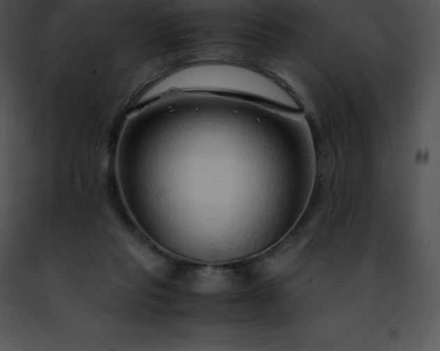 X0000091490261200708301942