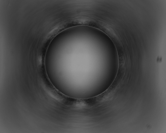 X0000091490262200708301942