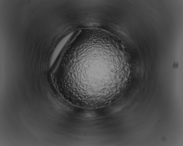 X0000091490263200708301942