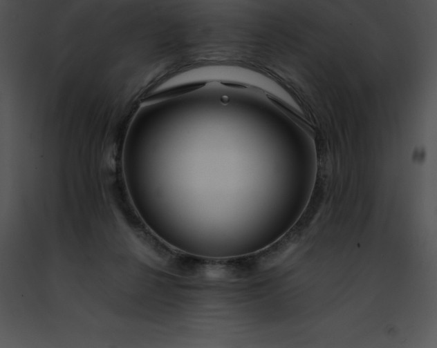 X0000091490264200708301942