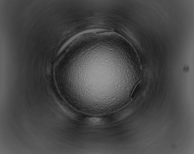 X0000091490265200708301942