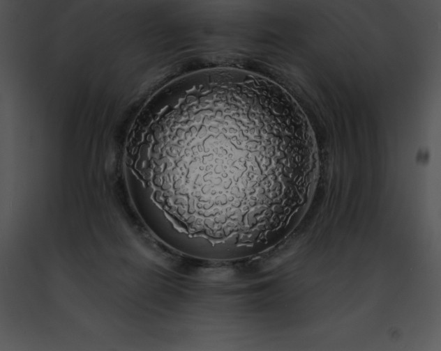 X0000091490266200708301942