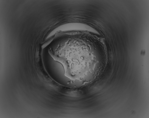 X0000091490267200708301942