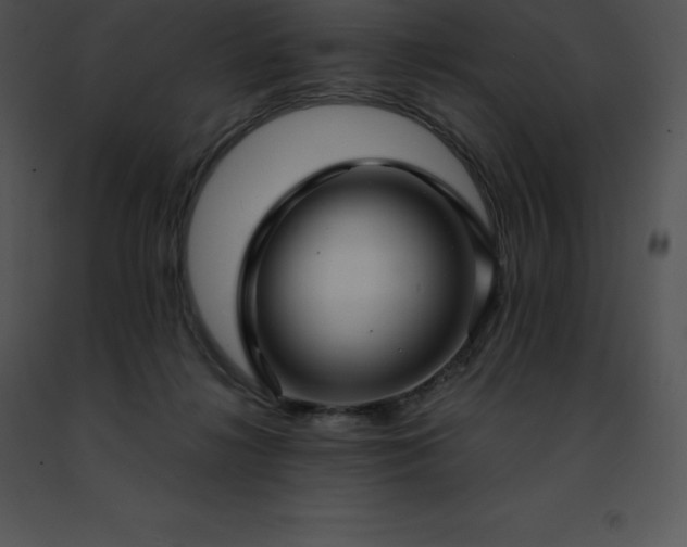 X0000091490268200708301942