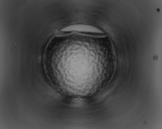 X0000091490269200708301942