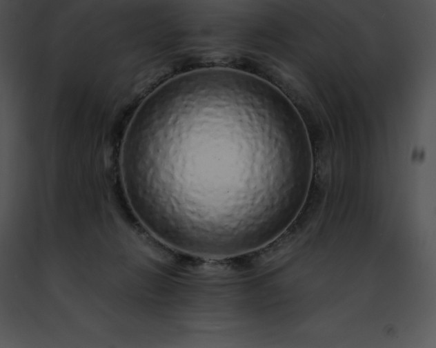 X0000091490270200708301942