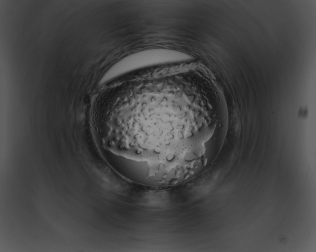 X0000091490271200708301942