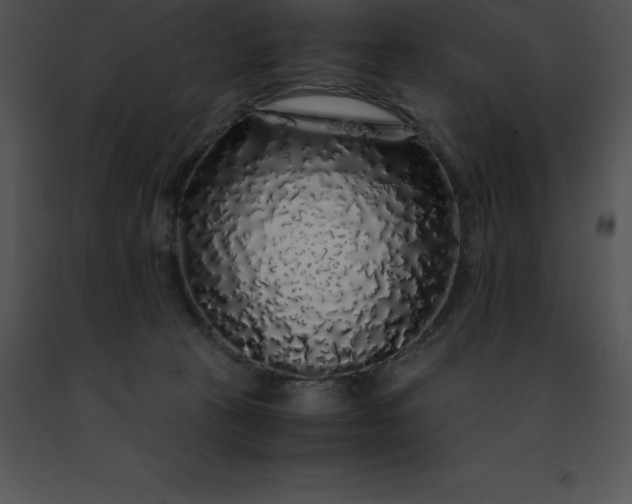 X0000091490273200708301942