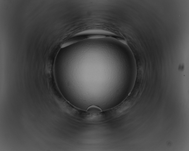 X0000091490274200708301942