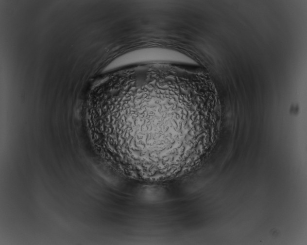 X0000091490275200708301942