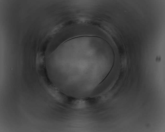 X0000091490276200708301942