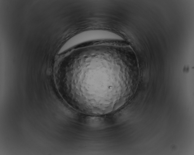 X0000091490277200708301942