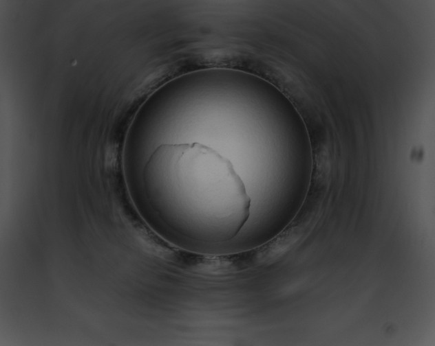 X0000091490278200708301942