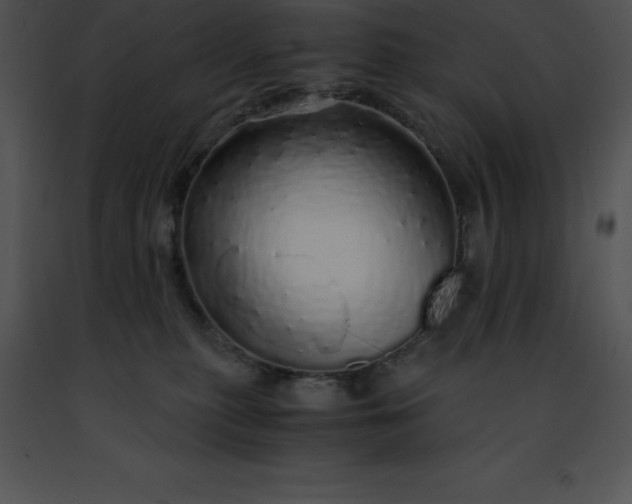 X0000091490279200708301942