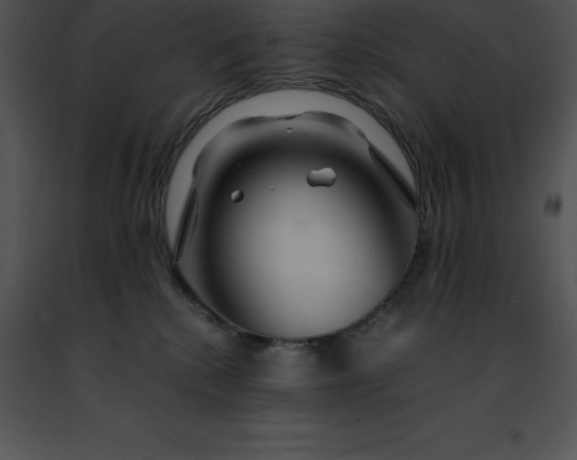 X0000091490280200708301942