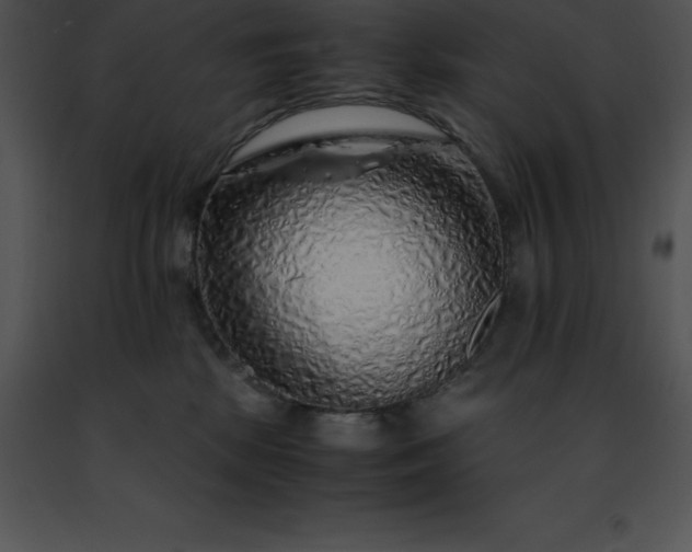 X0000091490281200708301942