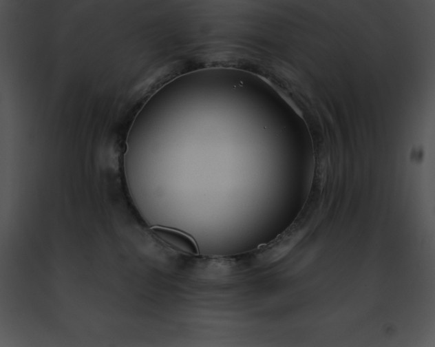 X0000091490282200708301942