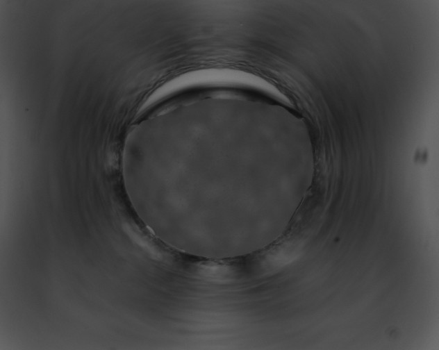 X0000091490284200708301942