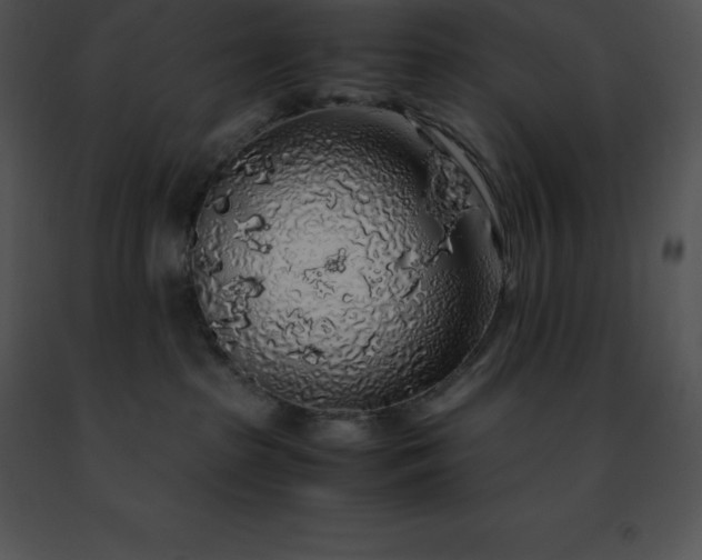 X0000091490285200708301942