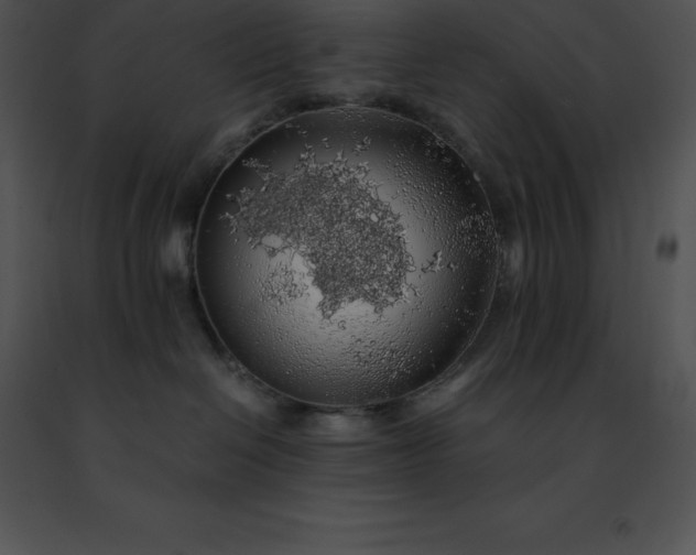 X0000091490286200708301942