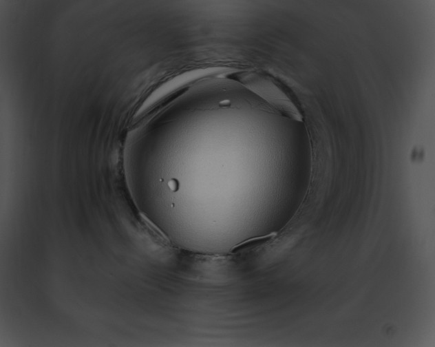 X0000091490288200708301942