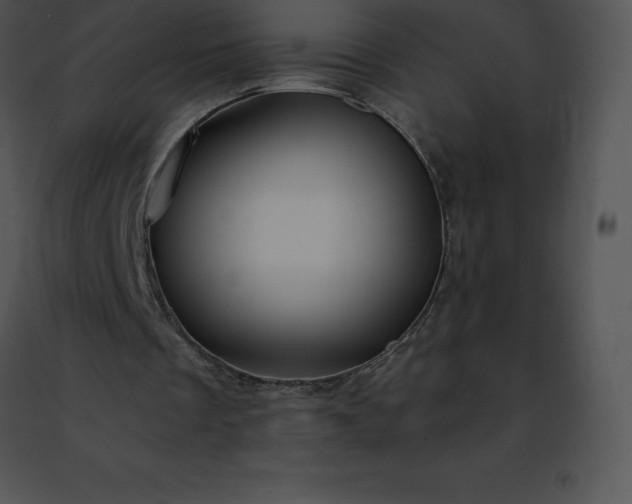 X0000091490289200708301942