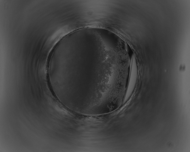 X0000091490290200708301942