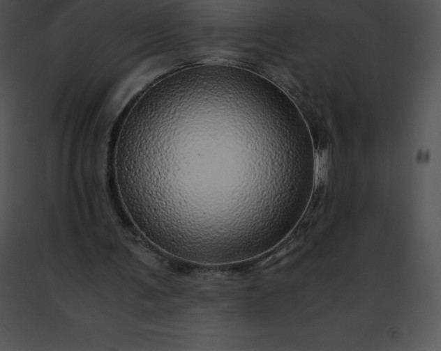 X0000091490291200708301942