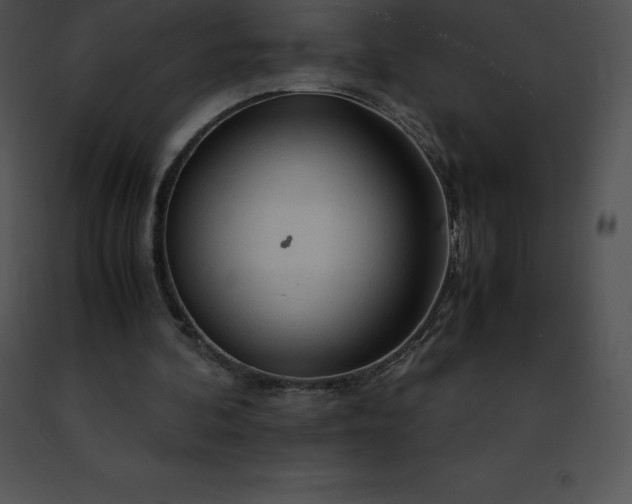 X0000091490292200708301942