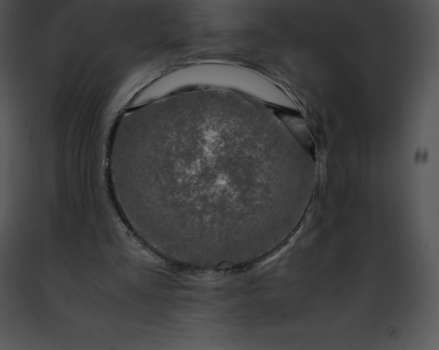 X0000091490293200708301942