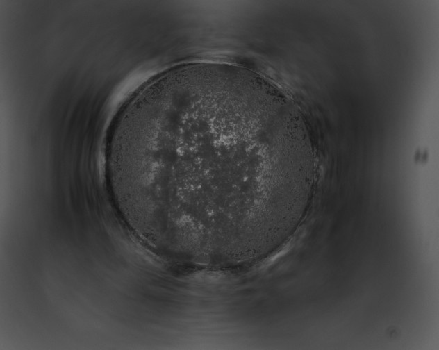 X0000091490294200708301942