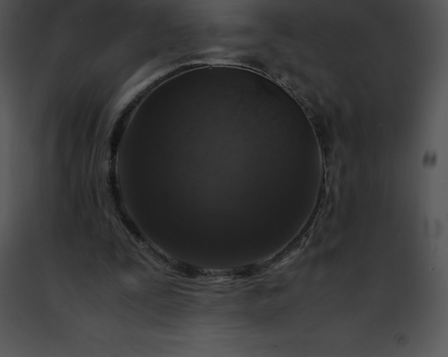 X0000091490295200708301942