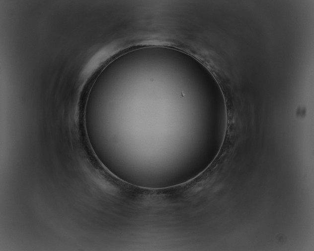 X0000091490296200708301942