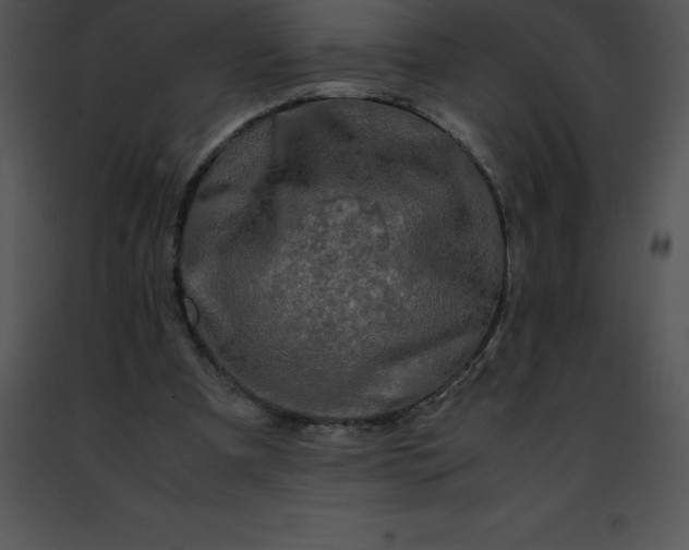 X0000091490297200708301942