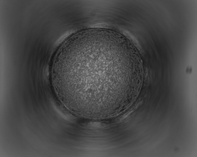 X0000091490298200708301942