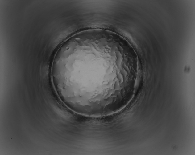 X0000091490299200708301941