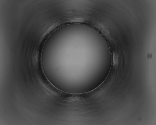 X0000091490300200708301941