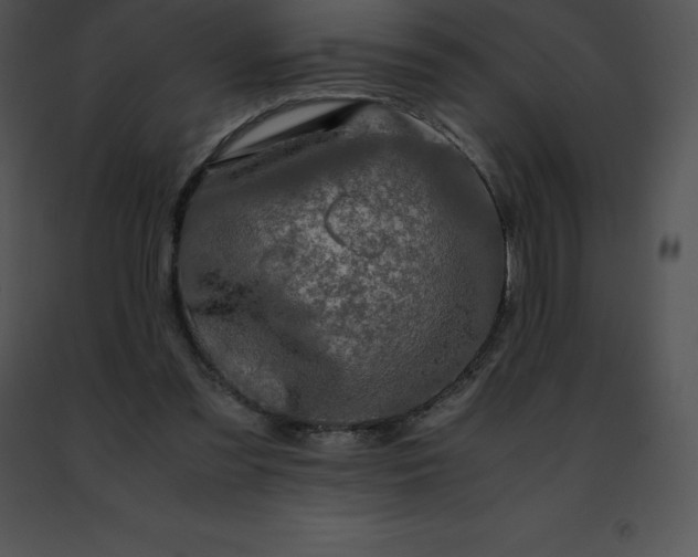 X0000091490301200708301941