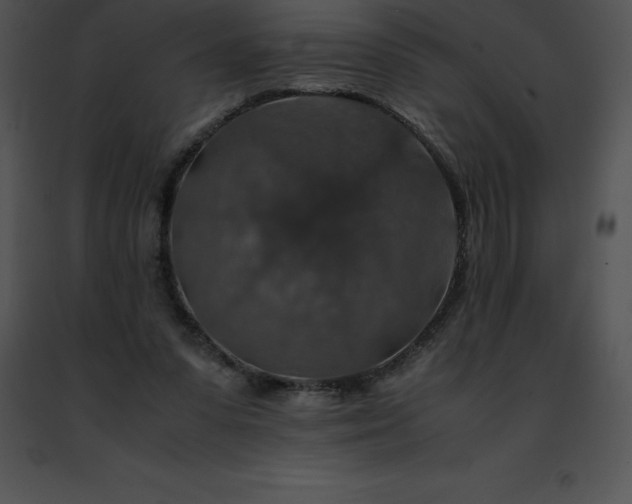 X0000091490303200708301941