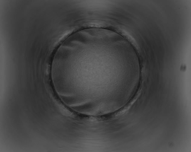 X0000091490305200708301941